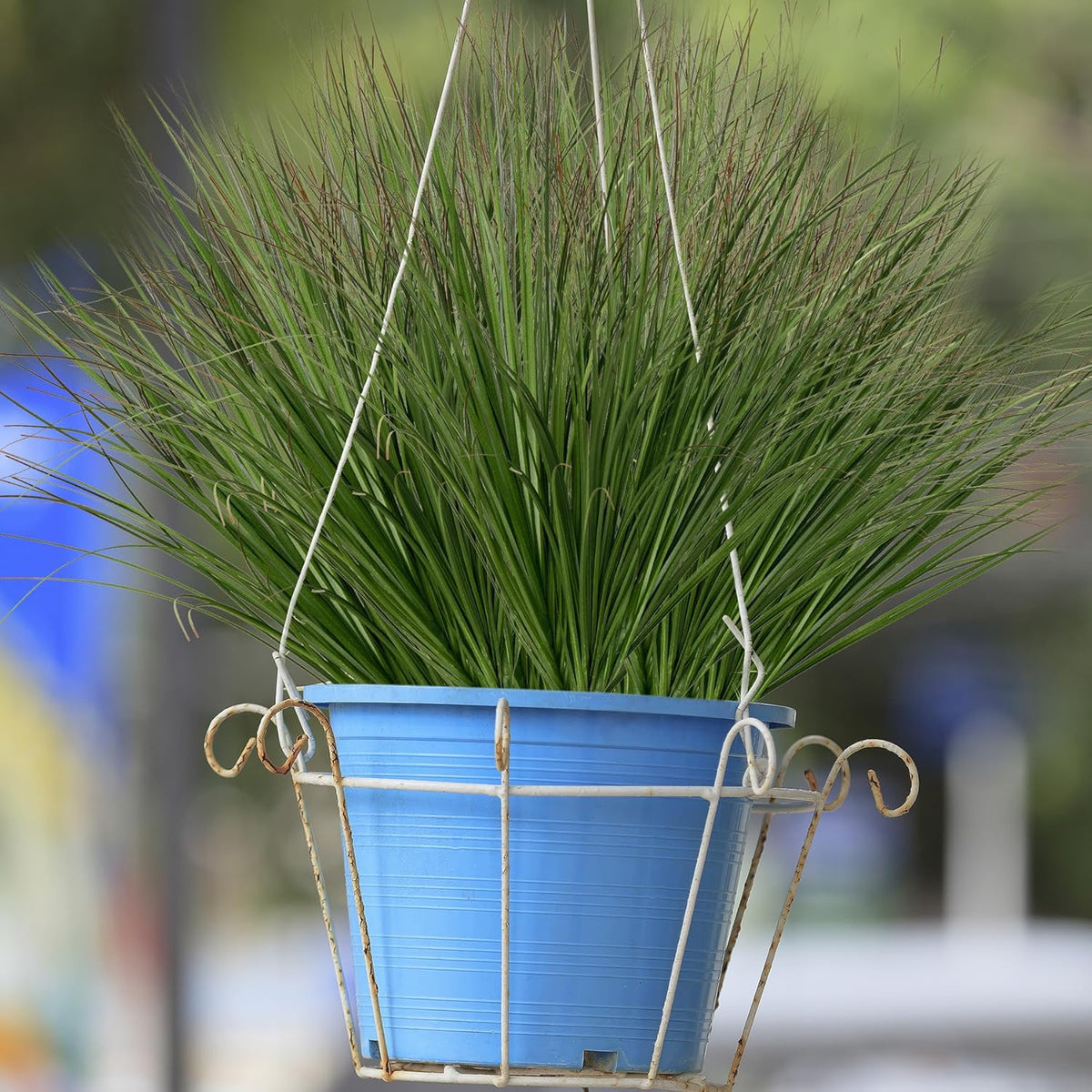 Artificial Grass, Fake Grass, Artificial Shrubs, Wheatgrass Cattails Fake Grass Decorations, Artificial Plants, Ornamental Grass, Outdoor Fake Grass, Green Leafy Decorations (12PCS)