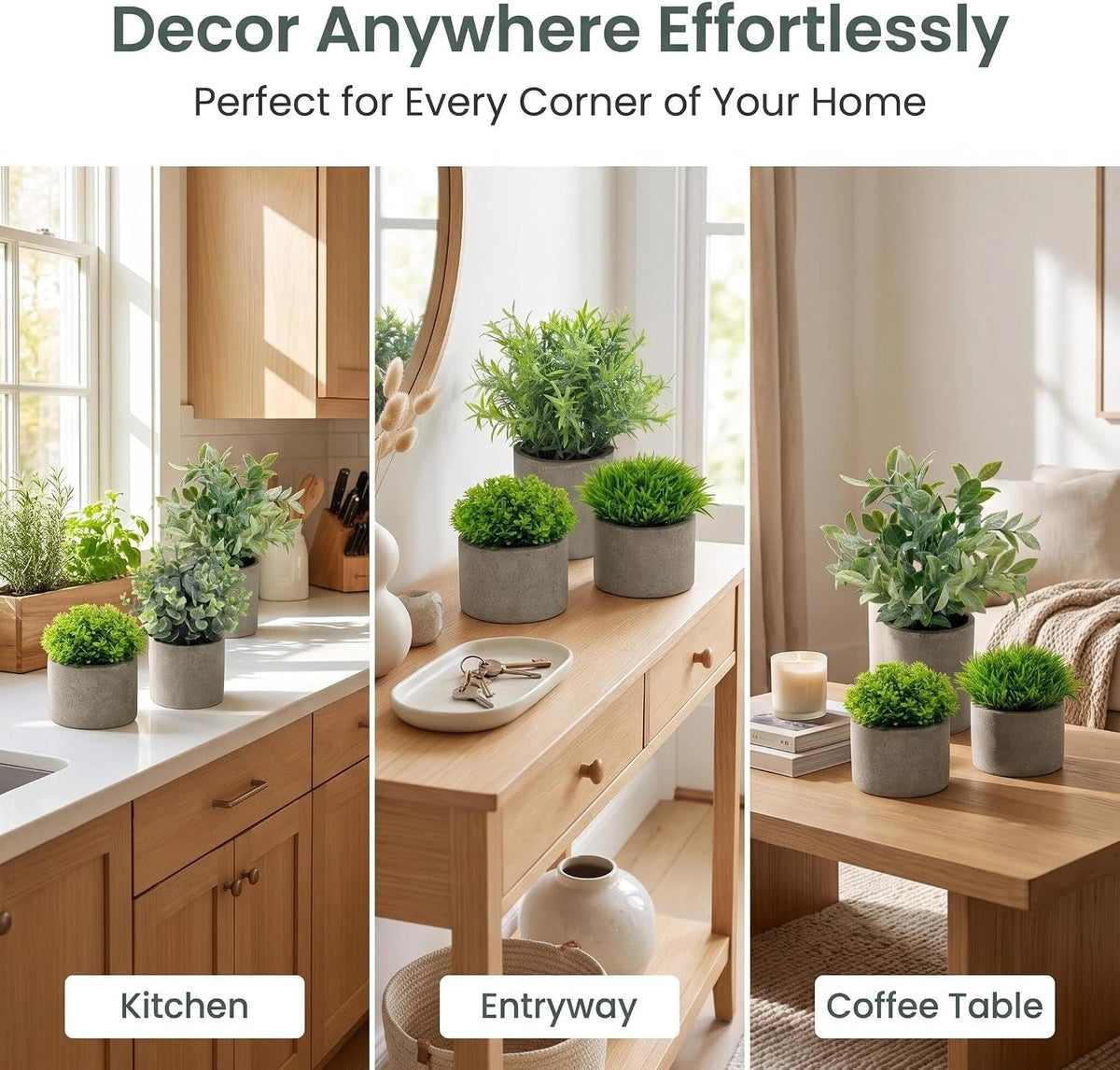 Artificial Potted Plants Faux Greenery in Cement Pots for Shelf, Bookshelf, Office or Home Decor, Small Decorative Fake Plants for Modern Indoor Display