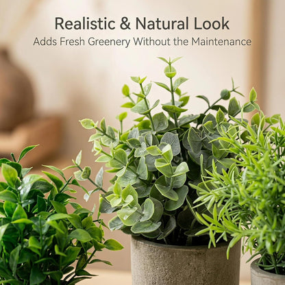Artificial Potted Plants Faux Greenery in Cement Pots for Shelf, Bookshelf, Office or Home Decor, Small Decorative Fake Plants for Modern Indoor Display
