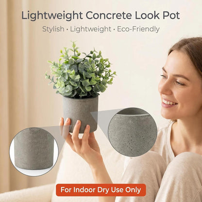 Artificial Potted Plants Faux Greenery in Cement Pots for Shelf, Bookshelf, Office or Home Decor, Small Decorative Fake Plants for Modern Indoor Display