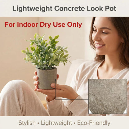 Artificial Potted Plants Faux Greenery in Cement Pots for Shelf, Bookshelf, Office or Home Decor, Small Decorative Fake Plants for Modern Indoor Display