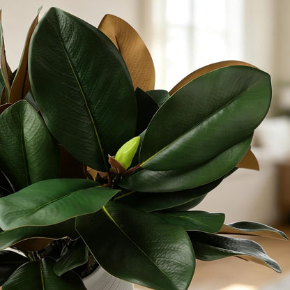 Magnolia Artificial Leaves Branches 22 Inch 3D Real Touch Faux Magnolia Stems Fake Magnolia Twigs for Indoor Outdoor Vase Filling Home Wedding Floral Arrangement Decoration