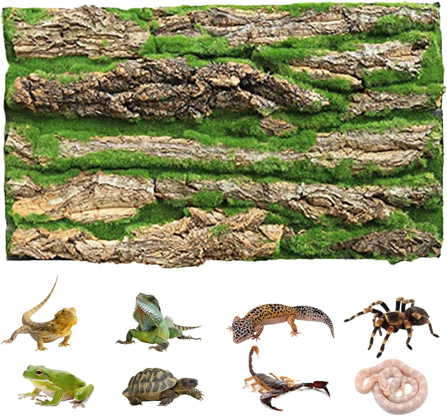 Cork Terrarium Background,Reptile Bark Backdrop Wall Decor and Artificial Moss for Gecko,Lizard,Tortoise,Chameleon (2 Pack)