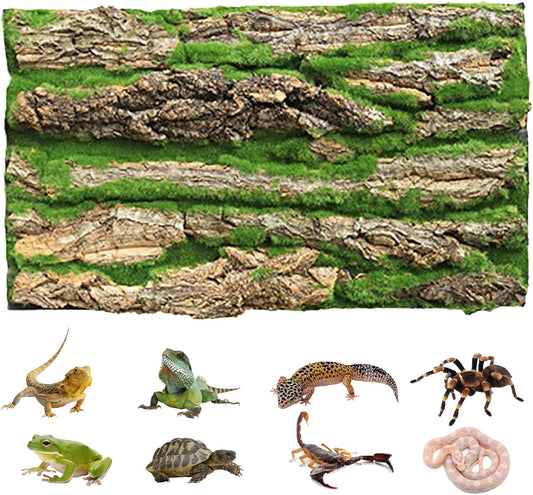 Cork Terrarium Background,Reptile Bark Backdrop Wall Decor and Artificial Moss for Gecko,Lizard,Tortoise,Chameleon (2 Pack)