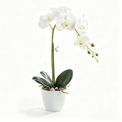 Artificial Orchid Flowers in Pot, 17" Real Touch Phalaenopsis Faux Orchid Plant (Adjustable to 20"), Large White/Pink Fake Flower Arrangement for Dining Table Centerpiece, Home Office (White)