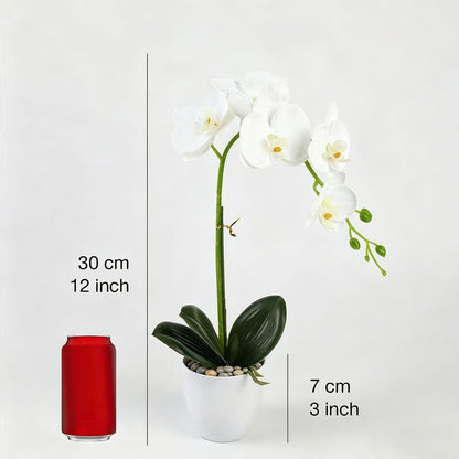 Artificial Orchid Flowers in Pot, 17" Real Touch Phalaenopsis Faux Orchid Plant (Adjustable to 20"), Large White/Pink Fake Flower Arrangement for Dining Table Centerpiece, Home Office (White)
