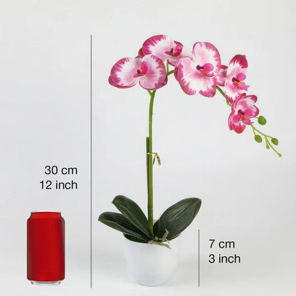 Artificial Orchid Flowers in Pot, 17" Real Touch Phalaenopsis Faux Orchid Plant (Adjustable to 20"), Large White/Pink Fake Flower Arrangement for Dining Table Centerpiece, Home Office (White)