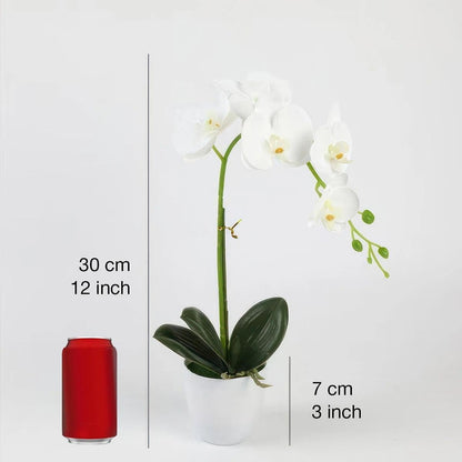 Artificial Orchid Flowers in Pot, 17" Real Touch Phalaenopsis Faux Orchid Plant (Adjustable to 20"), Large White/Pink Fake Flower Arrangement for Dining Table Centerpiece, Home Office (White)