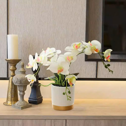 Artificial Orchid Flowers in Pot, 17" Real Touch Phalaenopsis Faux Orchid Plant (Adjustable to 20"), Large White/Pink Fake Flower Arrangement for Dining Table Centerpiece, Home Office (White)