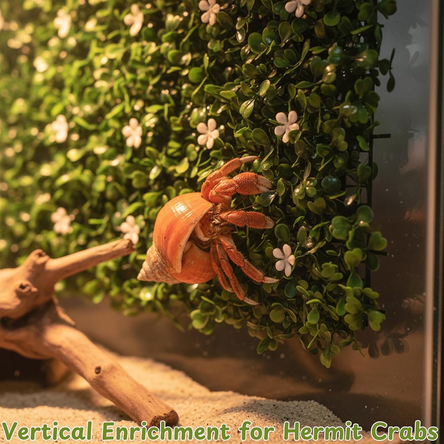 Hermit Crab Climbing Wall Enrichment Toys, Climbing Wall Toys With Suction Cups And Cable Ties, Faux Grass Mats Accessories for Tank Aquarium Exploration Habitat, Hermit Crab Tank (Green Decorations)