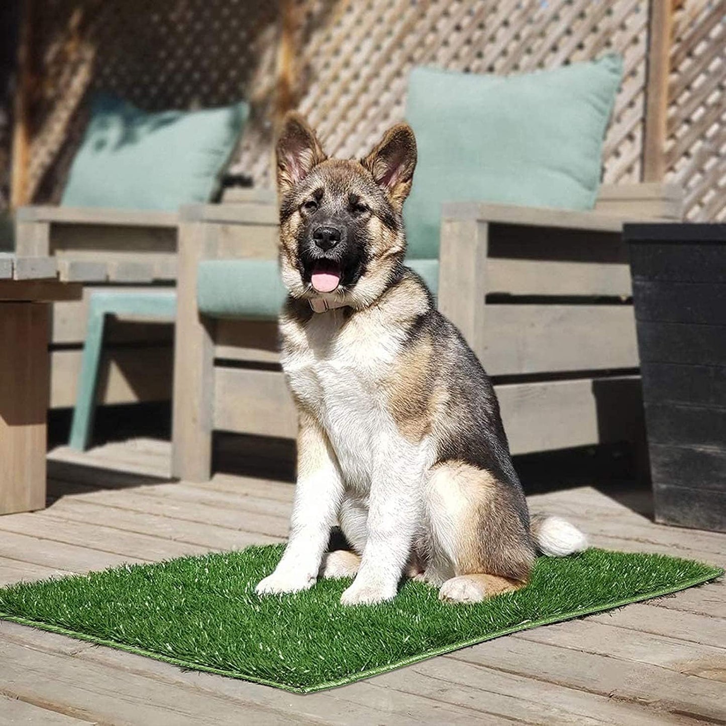 Dog Grass Pad with Tray Large, Puppy Turf Potty Reusable Training Pads with Pee Baffle, Artificial Grass Patch for Indoor and Outdoor Use, Ideal for Small and Medium Dogs (30"×20")