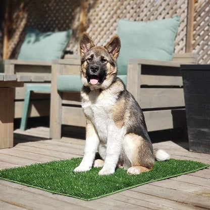 Dog Grass Pad with Tray Large, Puppy Turf Potty Reusable Training Pads with Pee Baffle, Artificial Grass Patch for Indoor and Outdoor Use, Ideal for Small and Medium Dogs (30"×20")