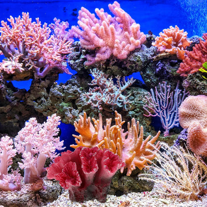 2pcs Artificial Reef Coral Aquarium Decorations, Red Fish Tank Ornaments, Home Tank Decor Coral for Aquarium Landscape, 2.8x2 Inch