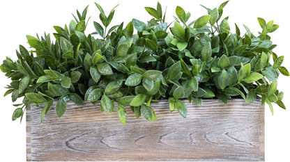 15" Assorted Artificial Succulent Arrangement Assorted Succulents in Rectangular Wooden Planter Faux Potted Plant for Farmhouse Table Centerpiece Windowsill Shelf Desk Mantel Greenery Décor