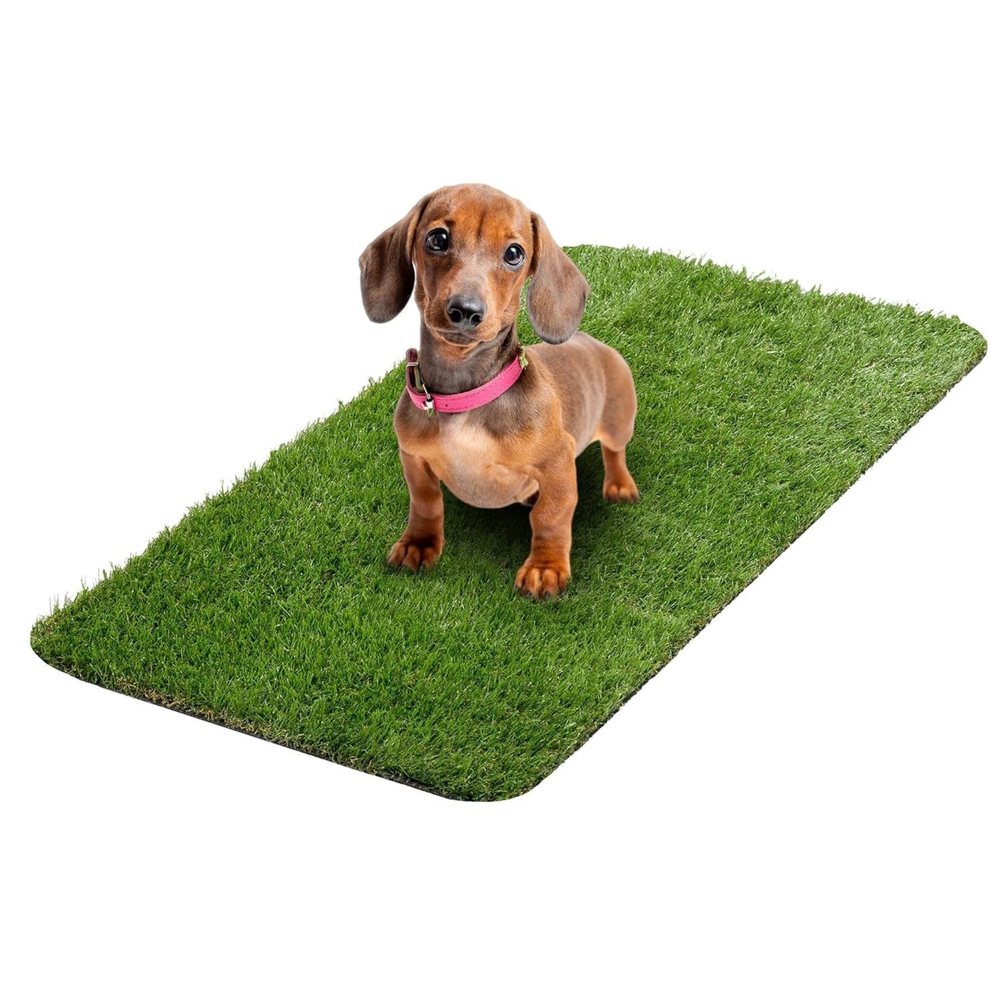 Artificial Grass Puppy Potty Training Pad with Tray, 15" x 30" Reusable Pee Pad for Small Pets and Dogs