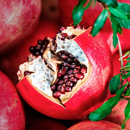 2 Pomegranate Wonderful Trees | Live Saplings in 2.5-inch Nursery Cubes | Punica Granatum 'Wonderful' Variety | Hardy Deciduous Trees and Shrubs | Red Fruit-Bearing Plant