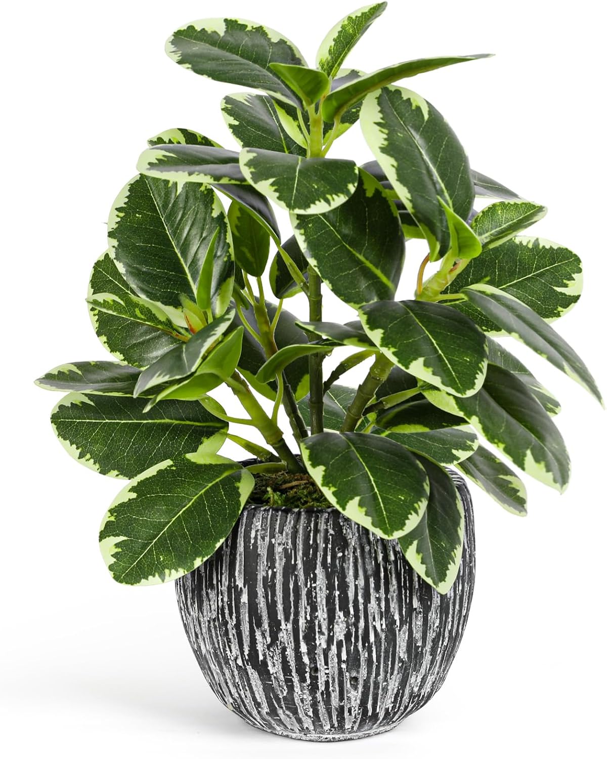 Artificial Potted Plant, Real Touch Artificial Oak Leaves Waterproof Fake Plants Indoor Outdoor, Eco Friendly Modern Concrete Greenery Plant Pots for Office Home Kitchen Shelf Farmhouse Decor