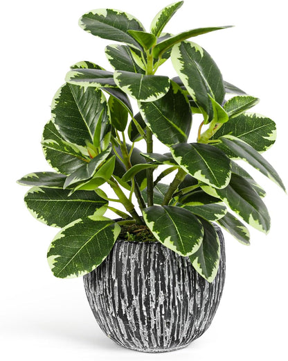 Artificial Potted Plant, Real Touch Artificial Oak Leaves Waterproof Fake Plants Indoor Outdoor, Eco Friendly Modern Concrete Greenery Plant Pots for Office Home Kitchen Shelf Farmhouse Decor