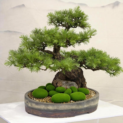 20 PCS Artificial Moss Rocks, 2 Sizes Faux Green Moss Covered Stones, Decorative Moss Rocks for Fairy Gardens, Terrariums, Floral Arrangements, Potted Plants & Crafts
