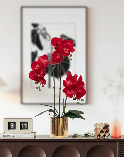 Artificial Orchid Flowers Real Touch Faux Flower in Vase Centerpiece Decor | Fake Silk Phalaenopsis Orchids, Realistic Petals&Leaves, Potted Plants for Home Office Hotel Room Restaurant Desktop(3 Stems)