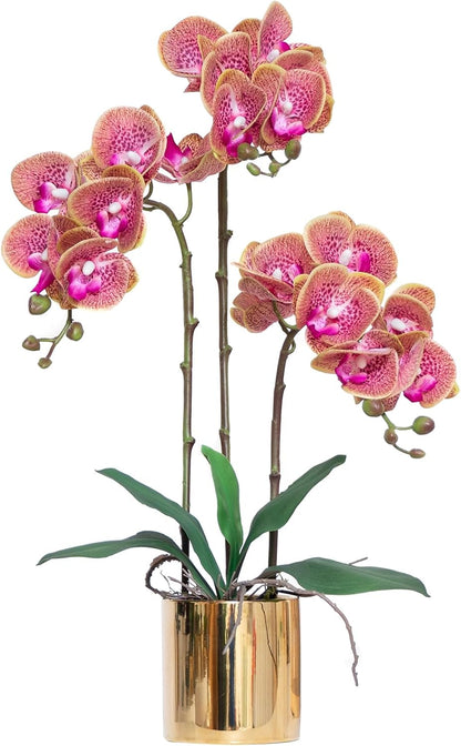 Artificial Orchid Flowers Real Touch Faux Flower in Vase Centerpiece Decor | Fake Silk Phalaenopsis Orchids, Realistic Petals&Leaves, Potted Plants for Home Office Hotel Room Restaurant Desktop(3 Stems)