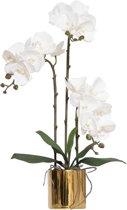 Artificial Orchid Flowers Real Touch Faux Flower in Vase Centerpiece Decor | Fake Silk Phalaenopsis Orchids, Realistic Petals&Leaves, Potted Plants for Home Office Hotel Room Restaurant Desktop(3 Stems)
