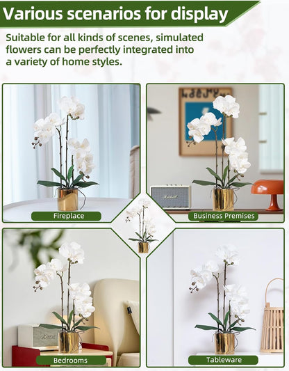 Artificial Orchid Flowers Real Touch Faux Flower in Vase Centerpiece Decor | Fake Silk Phalaenopsis Orchids, Realistic Petals&Leaves, Potted Plants for Home Office Hotel Room Restaurant Desktop(3 Stems)