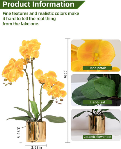 Artificial Orchid Flowers Real Touch Faux Flower in Vase Centerpiece Decor | Fake Silk Phalaenopsis Orchids, Realistic Petals&Leaves, Potted Plants for Home Office Hotel Room Restaurant Desktop(3 Stems)