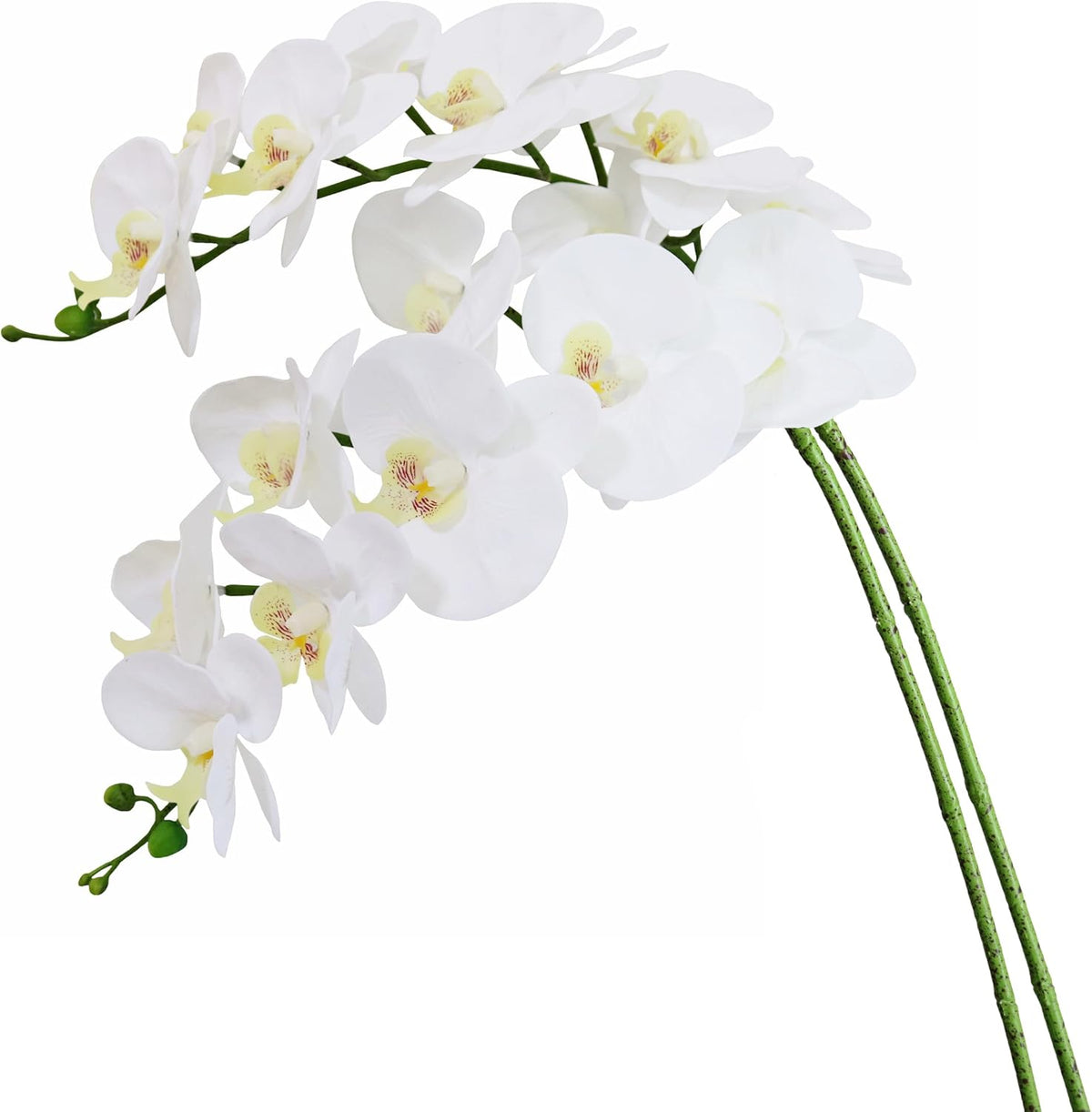 38 Inch Artificial Phalaenopsis Flowers Branches Real Touch (Not Silk) Orchids Flowers for Home Office Wedding Decoration,Pack of 2 (White)
