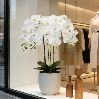 38 Inch Artificial Phalaenopsis Flowers Branches Real Touch (Not Silk) Orchids Flowers for Home Office Wedding Decoration,Pack of 2 (White)