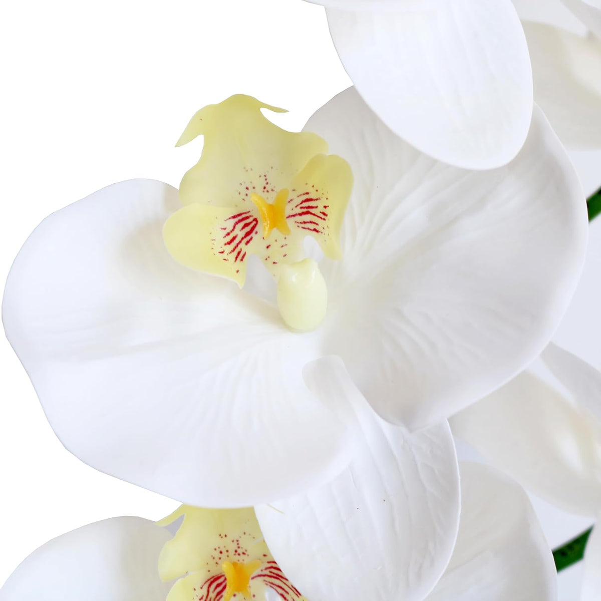 38 Inch Artificial Phalaenopsis Flowers Branches Real Touch (Not Silk) Orchids Flowers for Home Office Wedding Decoration,Pack of 2 (White)
