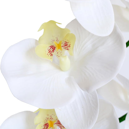 38 Inch Artificial Phalaenopsis Flowers Branches Real Touch (Not Silk) Orchids Flowers for Home Office Wedding Decoration,Pack of 2 (White)
