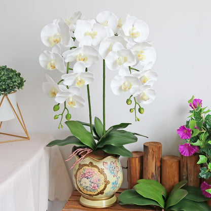 38 Inch Artificial Phalaenopsis Flowers Branches Real Touch (Not Silk) Orchids Flowers for Home Office Wedding Decoration,Pack of 2 (White)