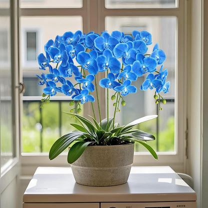 38 Inch Artificial Phalaenopsis Flowers Branches Real Touch (Not Silk) Orchids Flowers for Home Office Wedding Decoration,Pack of 2 (White)