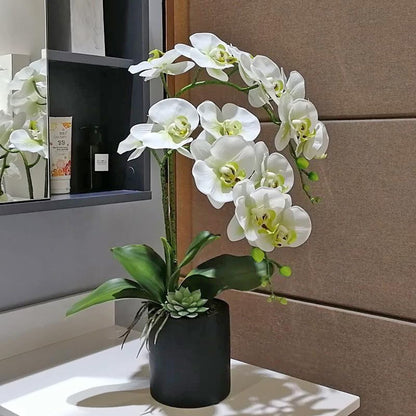 38 Inch Artificial Phalaenopsis Flowers Branches Real Touch (Not Silk) Orchids Flowers for Home Office Wedding Decoration,Pack of 2 (White)