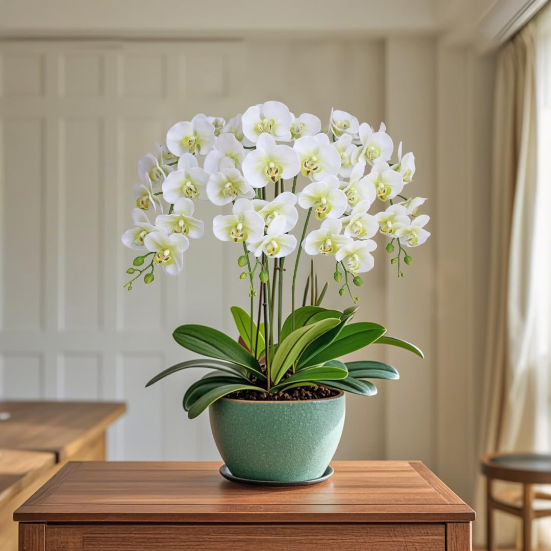38 Inch Artificial Phalaenopsis Flowers Branches Real Touch (Not Silk) Orchids Flowers for Home Office Wedding Decoration,Pack of 2 (White)