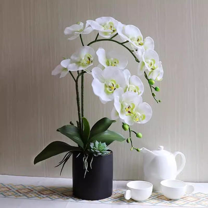 38 Inch Artificial Phalaenopsis Flowers Branches Real Touch (Not Silk) Orchids Flowers for Home Office Wedding Decoration,Pack of 2 (White)