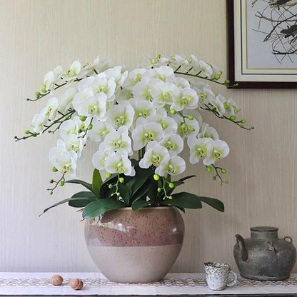 38 Inch Artificial Phalaenopsis Flowers Branches Real Touch (Not Silk) Orchids Flowers for Home Office Wedding Decoration,Pack of 2 (White)