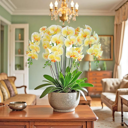 38 Inch Artificial Phalaenopsis Flowers Branches Real Touch (Not Silk) Orchids Flowers for Home Office Wedding Decoration,Pack of 2 (White)