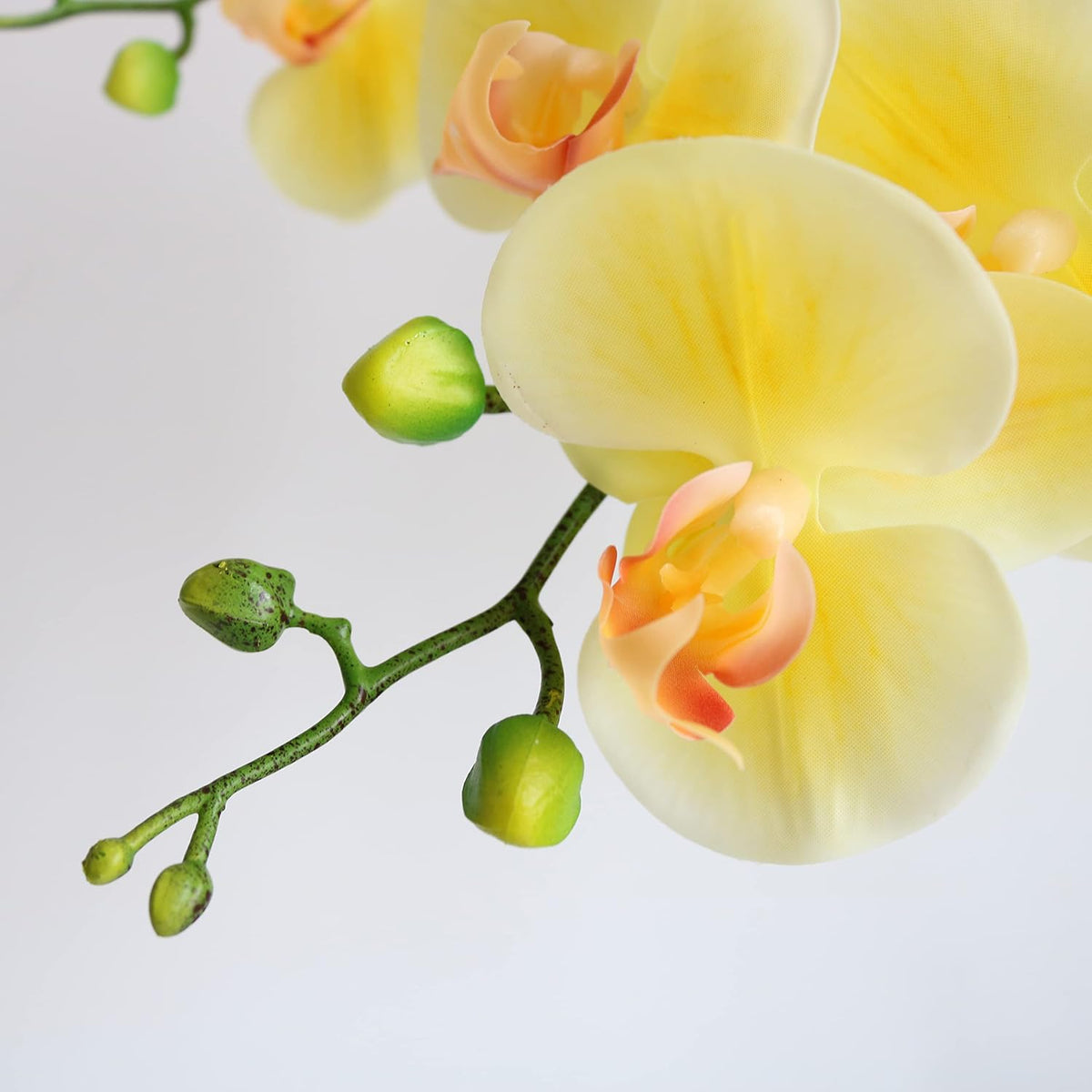38 Inch Artificial Phalaenopsis Flowers Branches Real Touch (Not Silk) Orchids Flowers for Home Office Wedding Decoration,Pack of 2 (White)