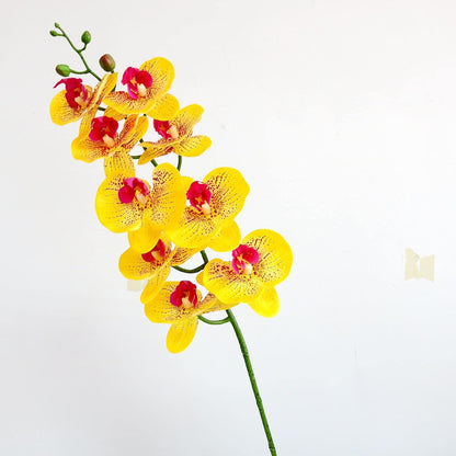 38 Inch Artificial Phalaenopsis Flowers Branches Real Touch (Not Silk) Orchids Flowers for Home Office Wedding Decoration,Pack of 2 (White)