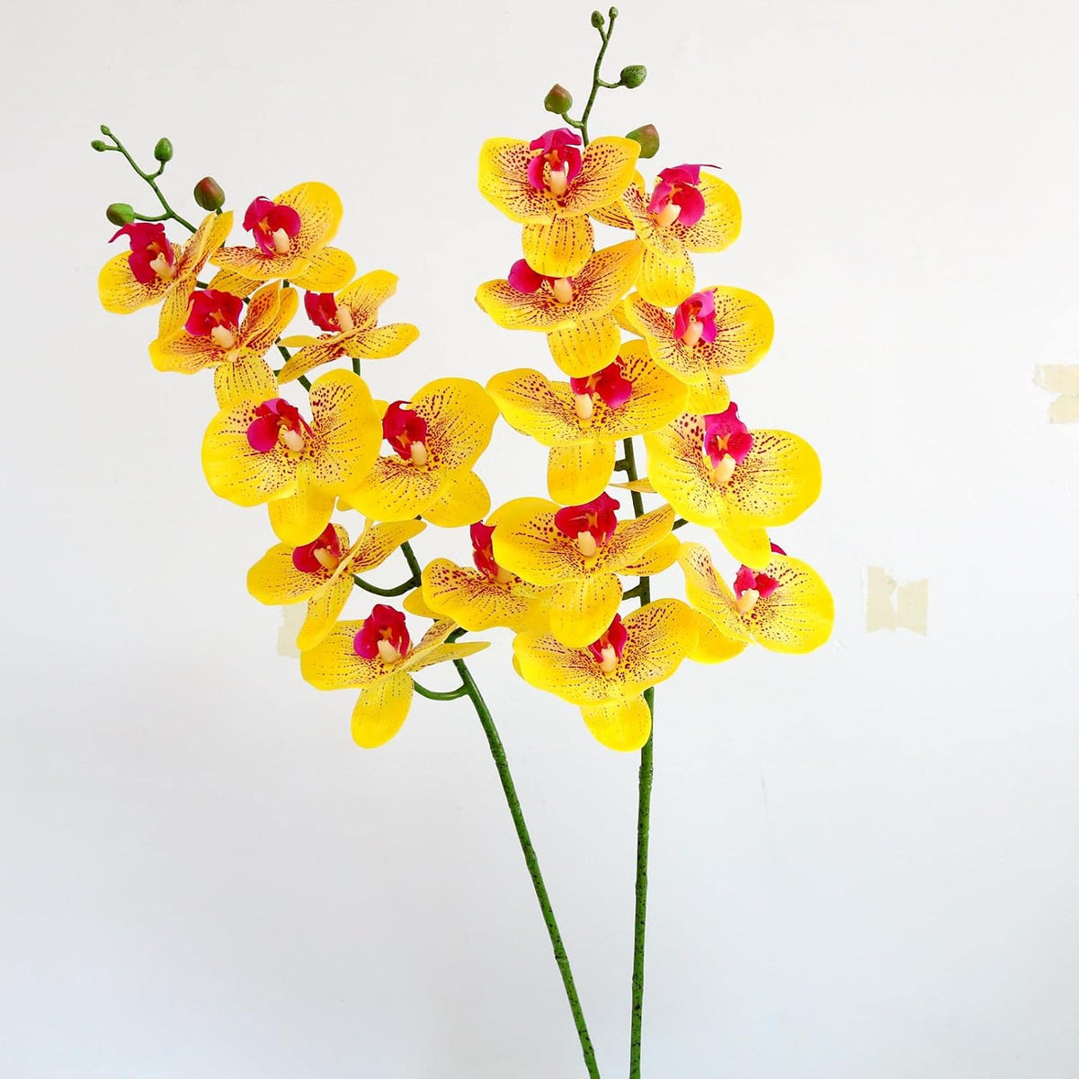 38 Inch Artificial Phalaenopsis Flowers Branches Real Touch (Not Silk) Orchids Flowers for Home Office Wedding Decoration,Pack of 2 (White)