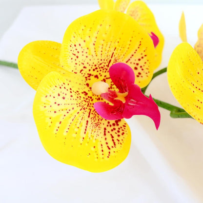 38 Inch Artificial Phalaenopsis Flowers Branches Real Touch (Not Silk) Orchids Flowers for Home Office Wedding Decoration,Pack of 2 (White)
