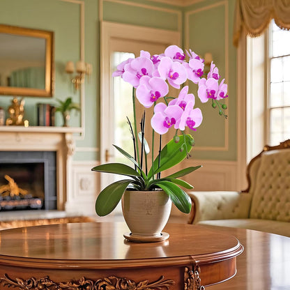 38 Inch Artificial Phalaenopsis Flowers Branches Real Touch (Not Silk) Orchids Flowers for Home Office Wedding Decoration,Pack of 2 (White)
