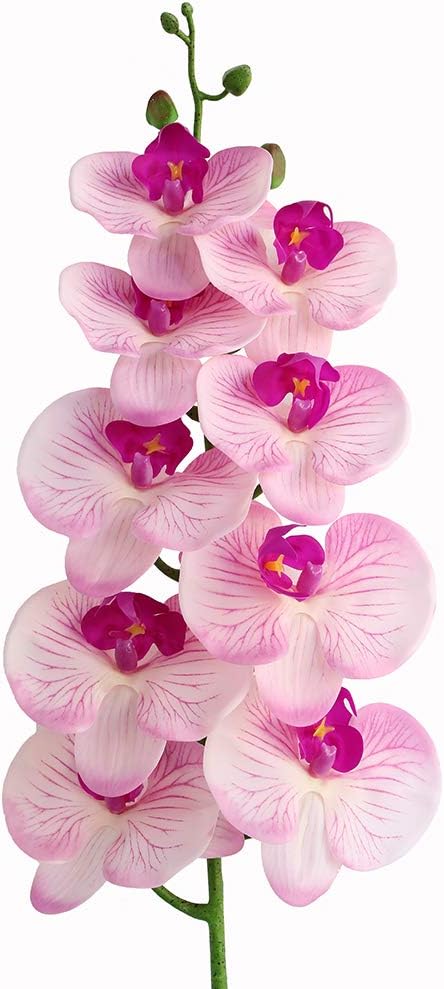 38 Inch Artificial Phalaenopsis Flowers Branches Real Touch (Not Silk) Orchids Flowers for Home Office Wedding Decoration,Pack of 2 (White)