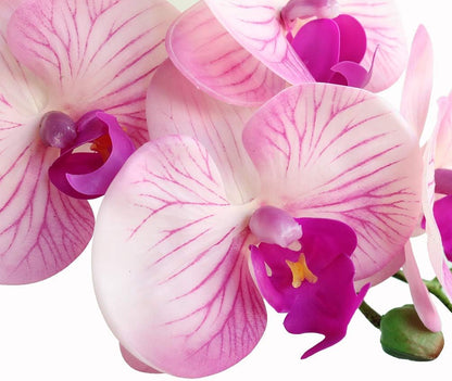38 Inch Artificial Phalaenopsis Flowers Branches Real Touch (Not Silk) Orchids Flowers for Home Office Wedding Decoration,Pack of 2 (White)