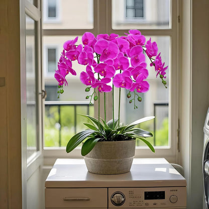 38 Inch Artificial Phalaenopsis Flowers Branches Real Touch (Not Silk) Orchids Flowers for Home Office Wedding Decoration,Pack of 2 (White)