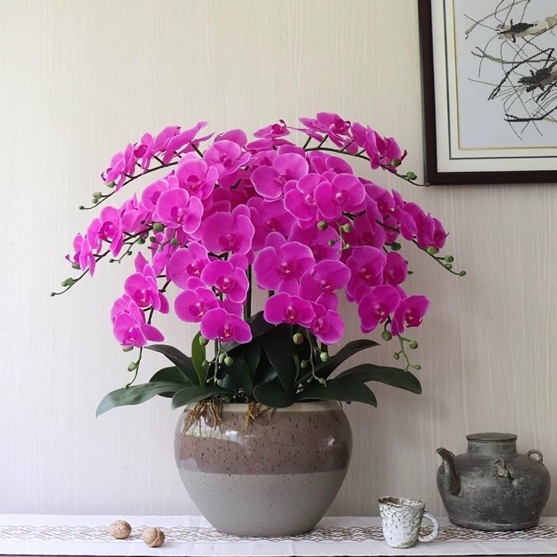 38 Inch Artificial Phalaenopsis Flowers Branches Real Touch (Not Silk) Orchids Flowers for Home Office Wedding Decoration,Pack of 2 (White)