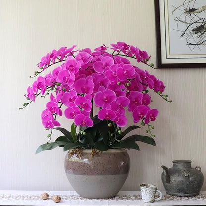38 Inch Artificial Phalaenopsis Flowers Branches Real Touch (Not Silk) Orchids Flowers for Home Office Wedding Decoration,Pack of 2 (White)