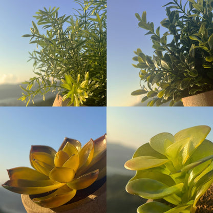 4 Pack Small Potted Eucalyptus Fake Plants for Bathroom Shelf
